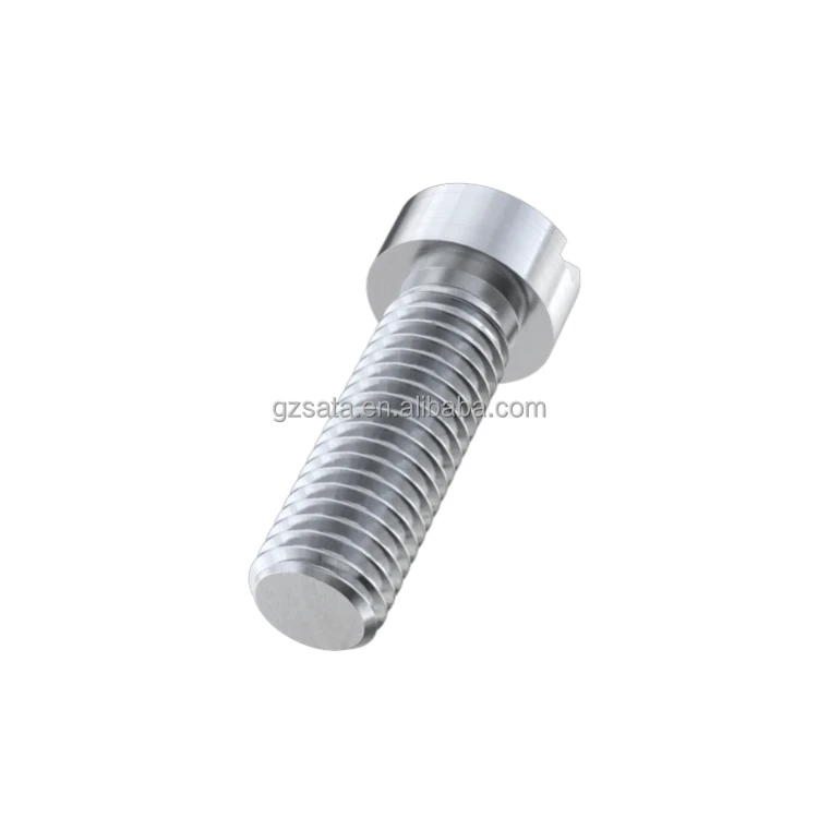 Slotted Fillister Head Screws