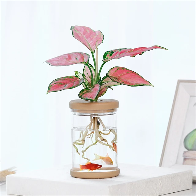 J823 Home Office Automatic Water Absorption Transparent Green Plant Flowerpots Plastic Visible Hydroponic Flower Pot
