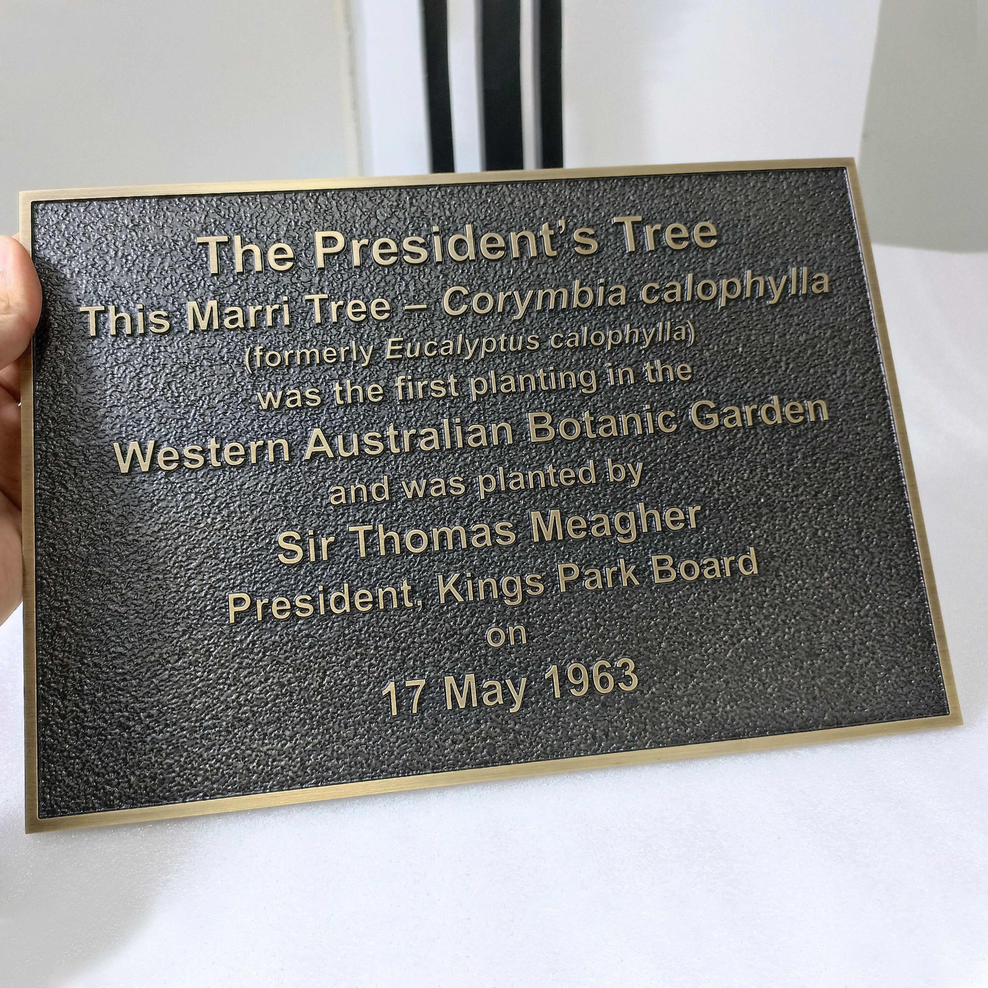 Brass Decorative Metal Sign Room Number House Address Number