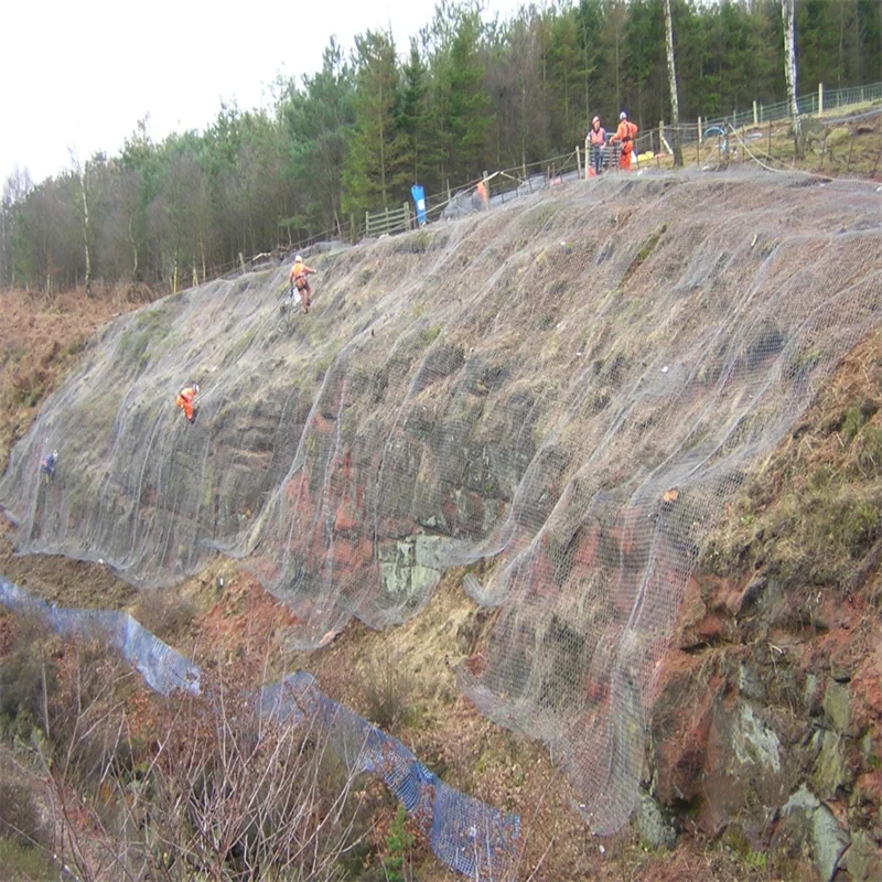 Galvanized Rockfall Barrier Mesh/Slope Protection Net/Stone Falling Protective Netting