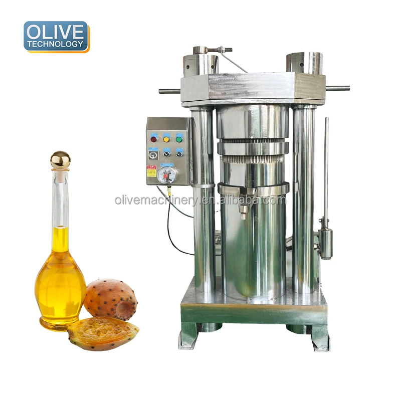 Jackfruit Seeds Oil Press Effective Oil Press Machine Cooking Oil Press Machine Macadamia
