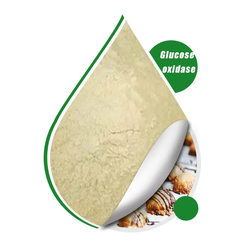 Healthdream Supply High Activity 10000U/g Glucose Oxidase Powder Food Additives Enzyme for Food Processing CAS 9001-37-0