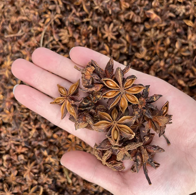 Star anise wholesale largely supply high quality bulk low price low cost new high-quality natural
