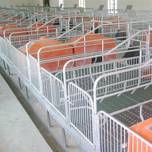 steel structure pig shed house