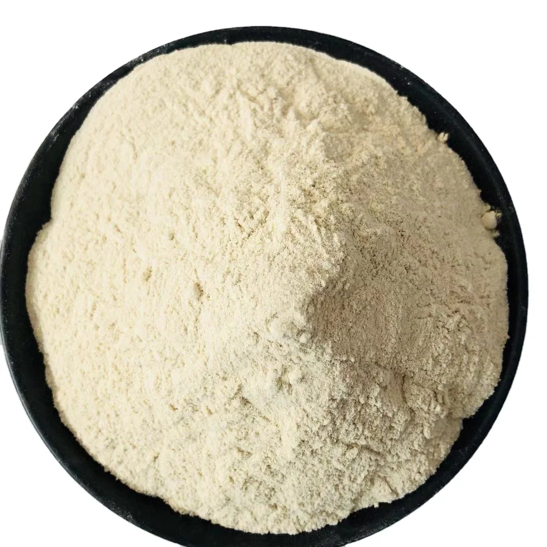 Made in China High Quality Calcium Hydrogen Phosphate Feed Grade High Content 99% Dicalcium Phosphate