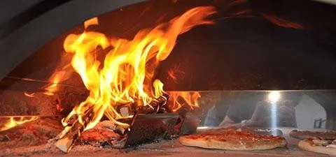 Сад Camying наружная нержавеющая сталь дровяная печь для пиццы и