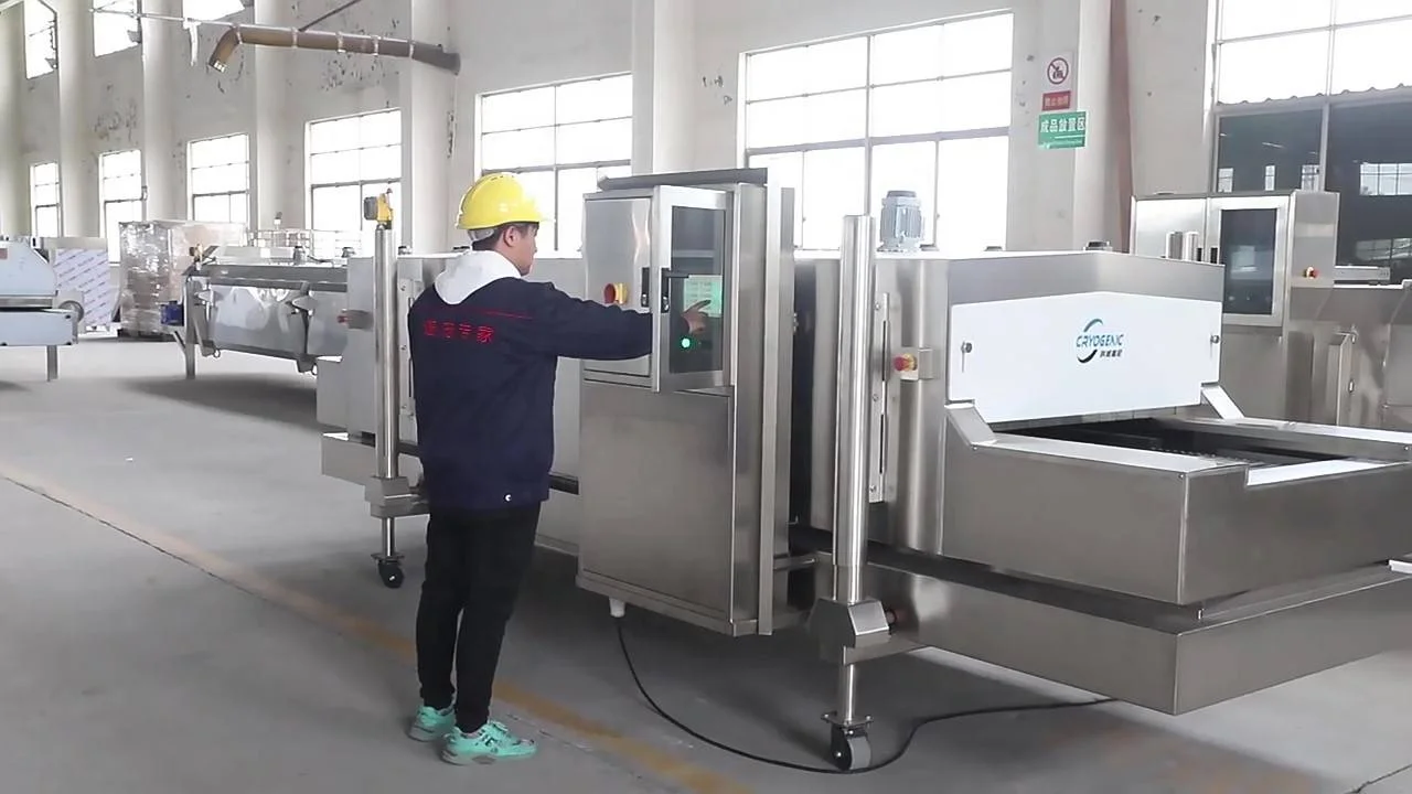 IQF Commercial Deep Freezer upright blast chillers and shock freezers for seafood