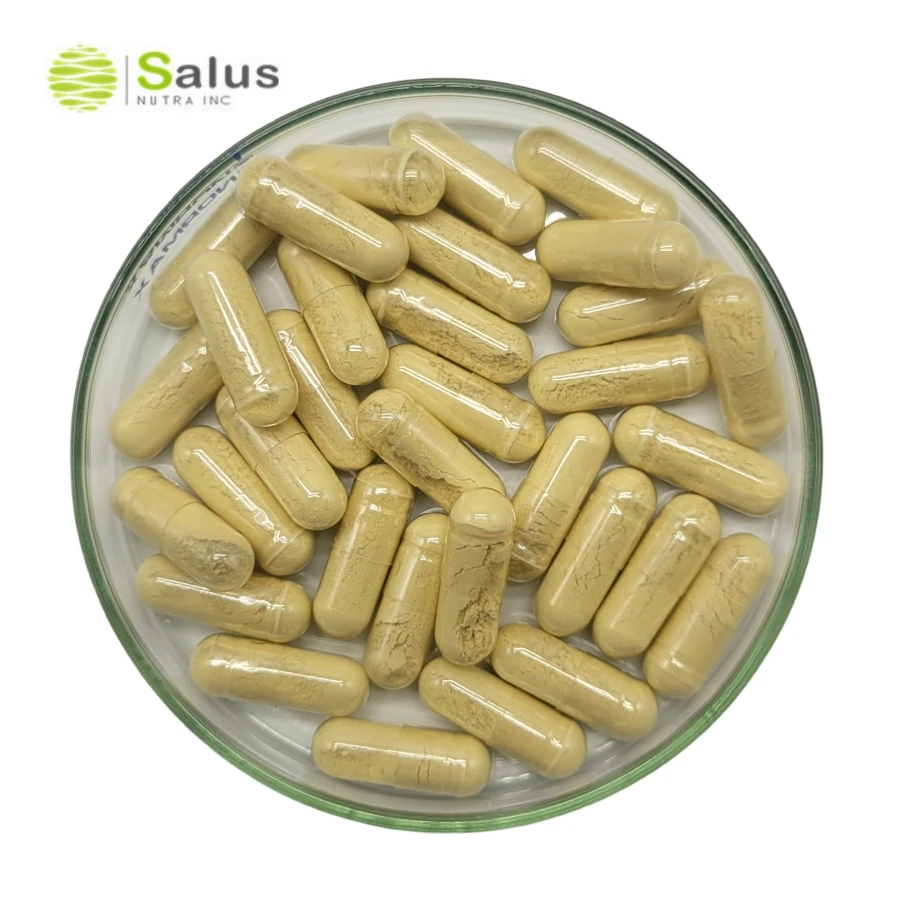 St Johns Wort Capsules Supplement ISO22000 and HALAL Certified Products