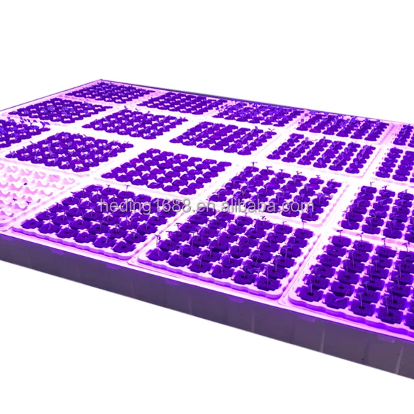 
OEM Rigif Plastic Hydroponic Grow Trays Seed Tray Cultivation Tray 