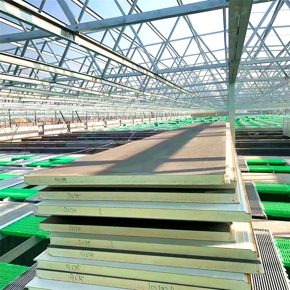 Industrial Building Metal Modern any RAL Color Construction Materials CAM Lock PU / PUR / PIR Foam Sandwich Panel