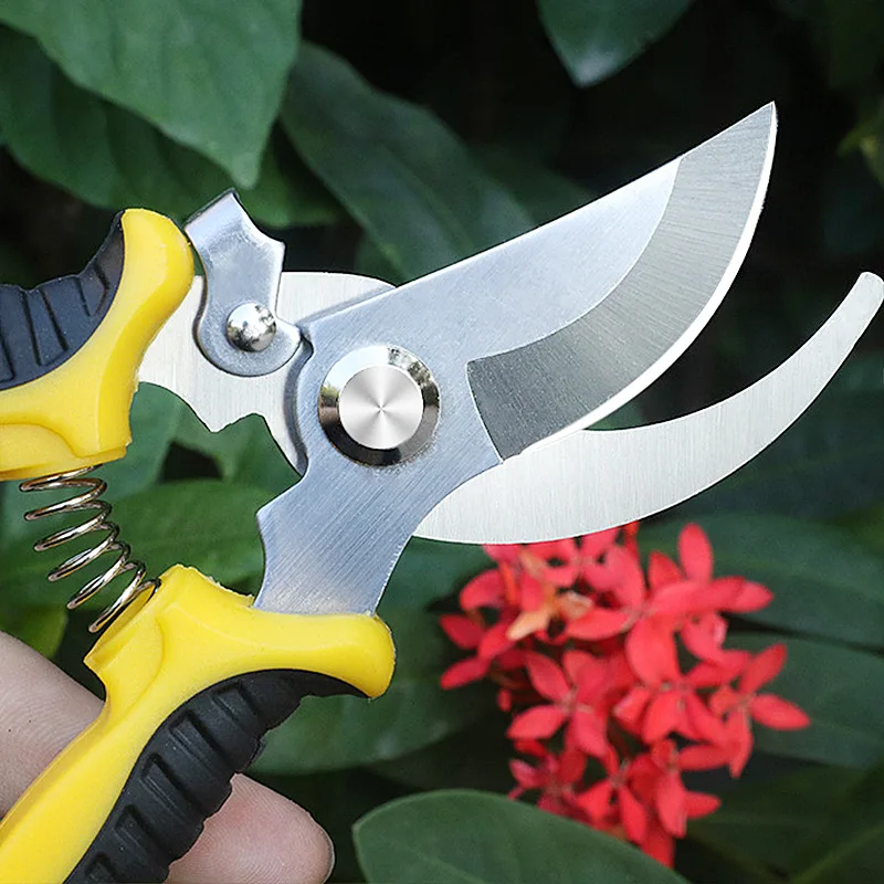Sell well at wholesale Pruning Shear garden tool Stainless Steel Small Size Branch Shear Flower Cutting Garden scissors