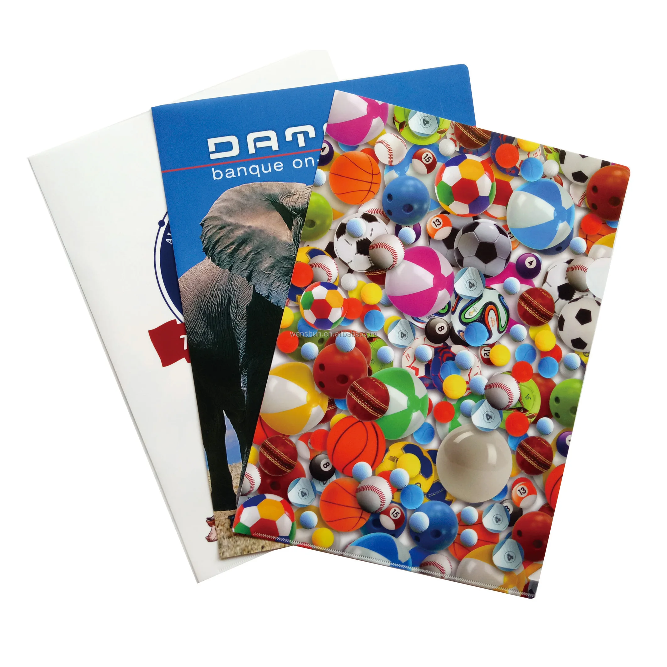 Newest Design Top Grade Custom Printing L Shape File Folder with Back Pocket