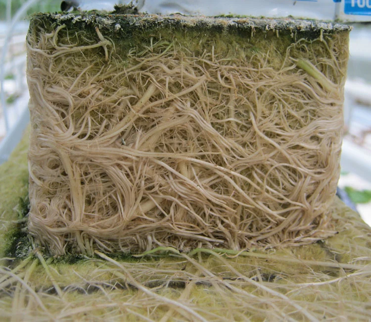 Hydroponics Agricultural Mineral Rock Wool for Tomatoes Seeds/Plants/Lettuce Grow