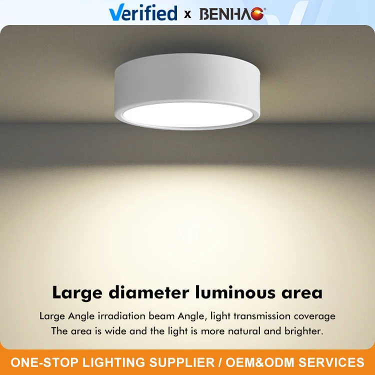 Modern Design 4cm Thin 220V 5W 7W 12W 18W 24W 30W 3000K 4000K 6000K Aluminum Surface Mounted Smd Bedroom Led Downlight