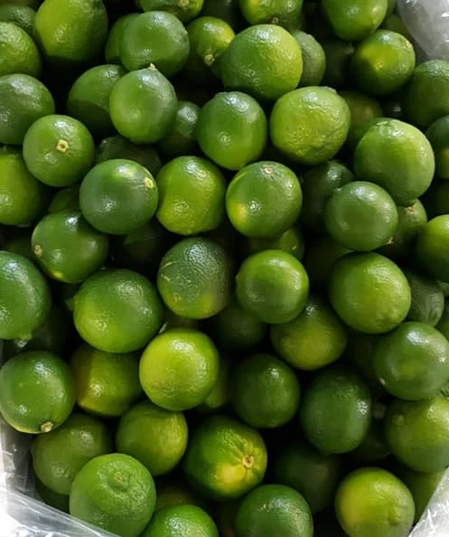 New Harvest 2023 Crop Fresh Green Seedless Lemon Fresh Citrus Fruit, 7kg/box Packaging Limes