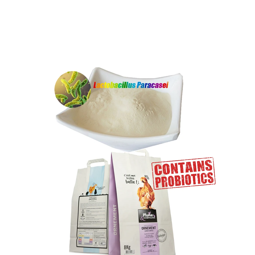 Cheap Freeze dried probiotics powder of Lactobacillus paracasei do probiotics digestive supplement vitamins for dog cat poultry