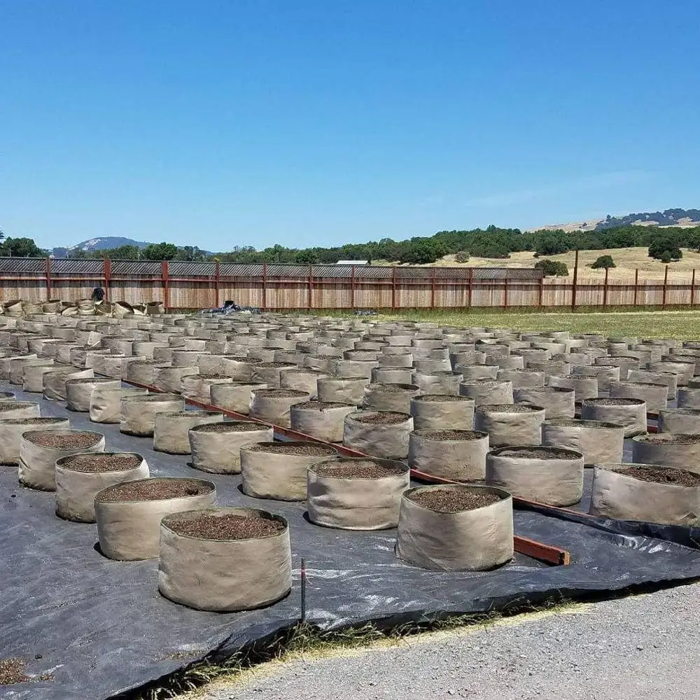 100 gallon Large Air Pruning Pots for Planting Trees large plant pot