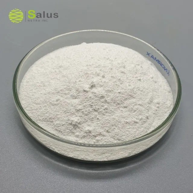 Oleanolic Acid Powder 98% By HPLC For Cosmetic and Herb Supplements