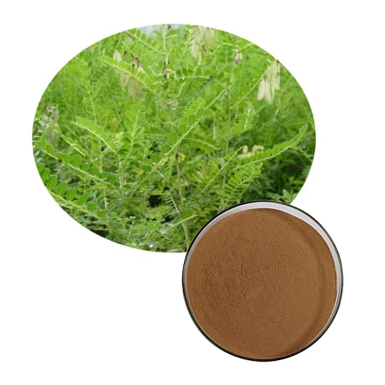Chinese Medicine Herb Astragalus Extract Health supplement astragalus root extract Yellowish Fine Brown Powder