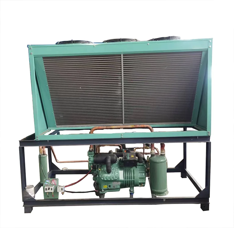 Quality Assurance R134A Emerson Piston Cold Storage Compressor Refriger Piston Compressor Air-cooled Condensing Unit of Copeland