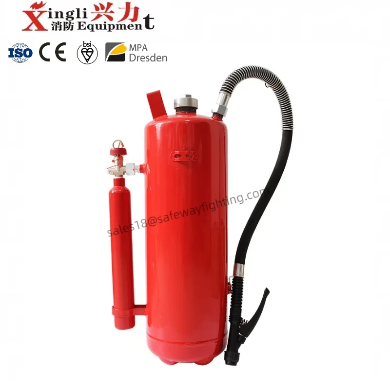 Customized Logo Dry powder/Foam/Water Stainless Steel Fire Extinguisher St12 6KG italy fire extinguisher