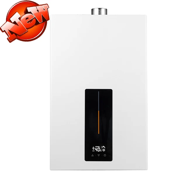 Factory High Quality Gas Water Heaters LPG NG 12L Water Gas Heater