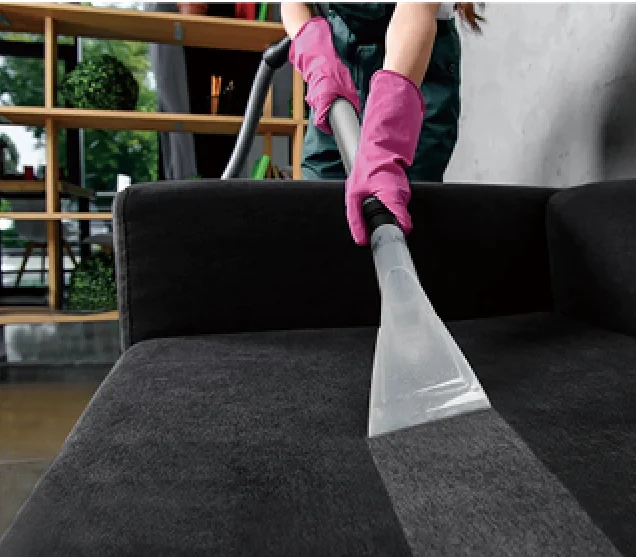 Портативный пылесос для сухой и влажной уборки, с пультом ДУ