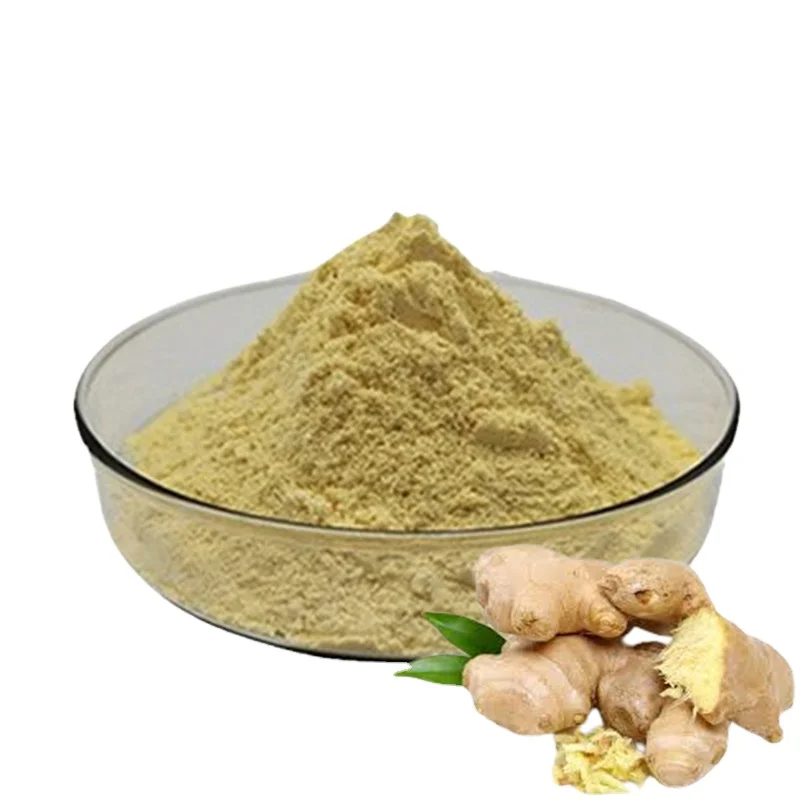 High Purity Ginger Extract Ginger Root Powder 6-Gingerol 3% 5% Gingerol
