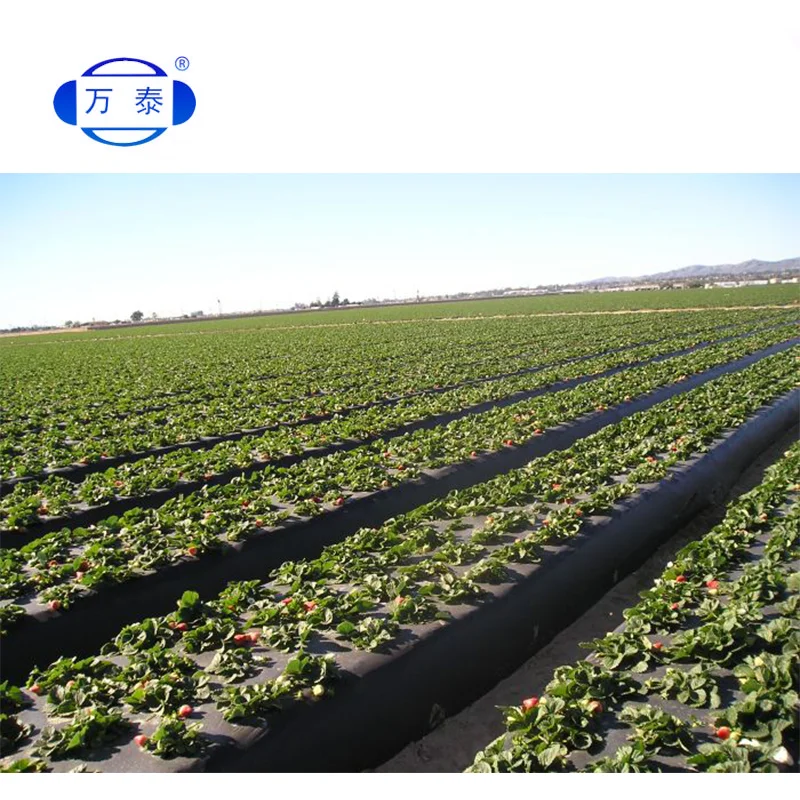 
200 micron ldpe agriculture black greenhouse plastic agriculture polyethylene film for greenhouse clip 