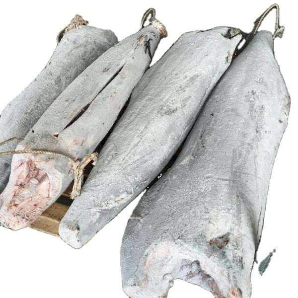 Frozen Blue Marlin frozen fish Marlin