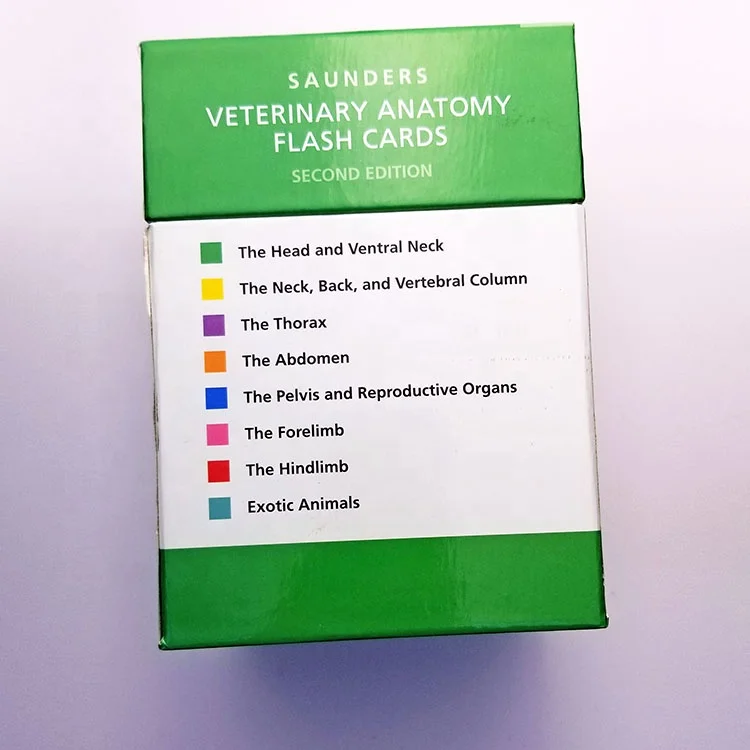 Custom Printing veterinary Anatomy Flash Cards  Extra Large Educational customized only