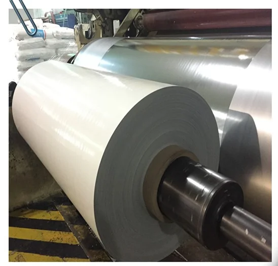 Polyethylene moisture barrier roof membrane wall membrane waterproof moisture barrier