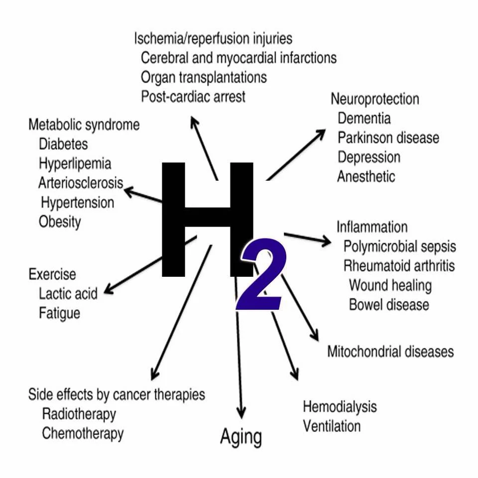 Snows Portable Hydrogen Water Device Bottle for Health Hydrogen Water 3.5-4.5 Ppm
