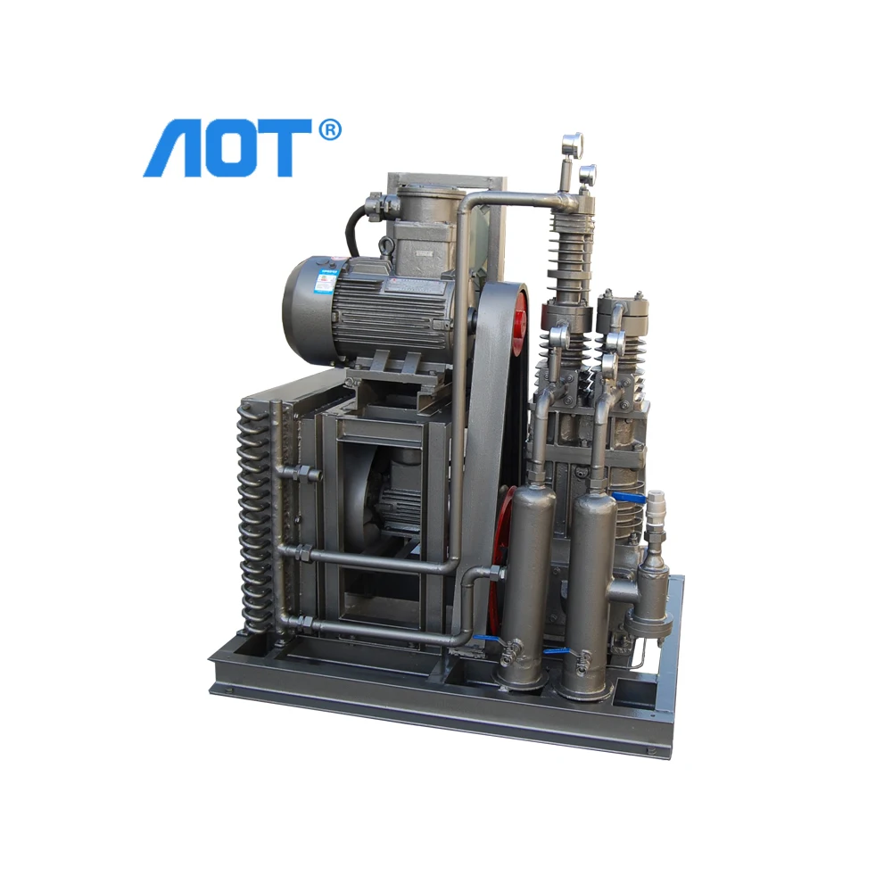 Quality Piston Air Compressor Pump Heads Natural Gas Station Dental Air Compressor