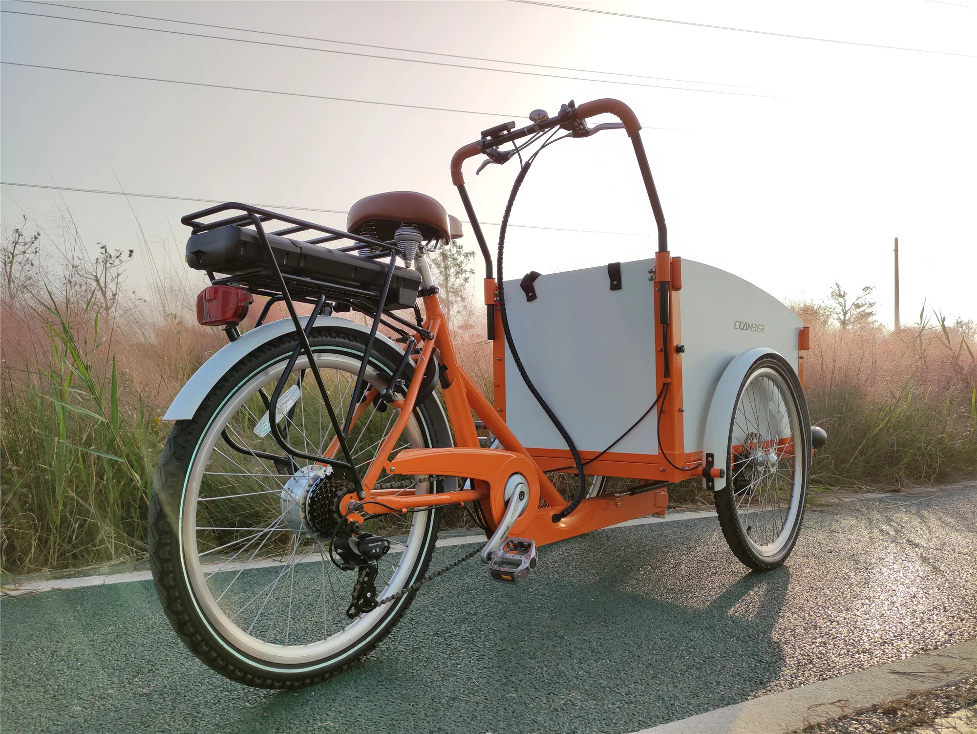 best selling 250W electric cargo bike with front wood box 3 wheel bike bicycle europe stock delivery bike
