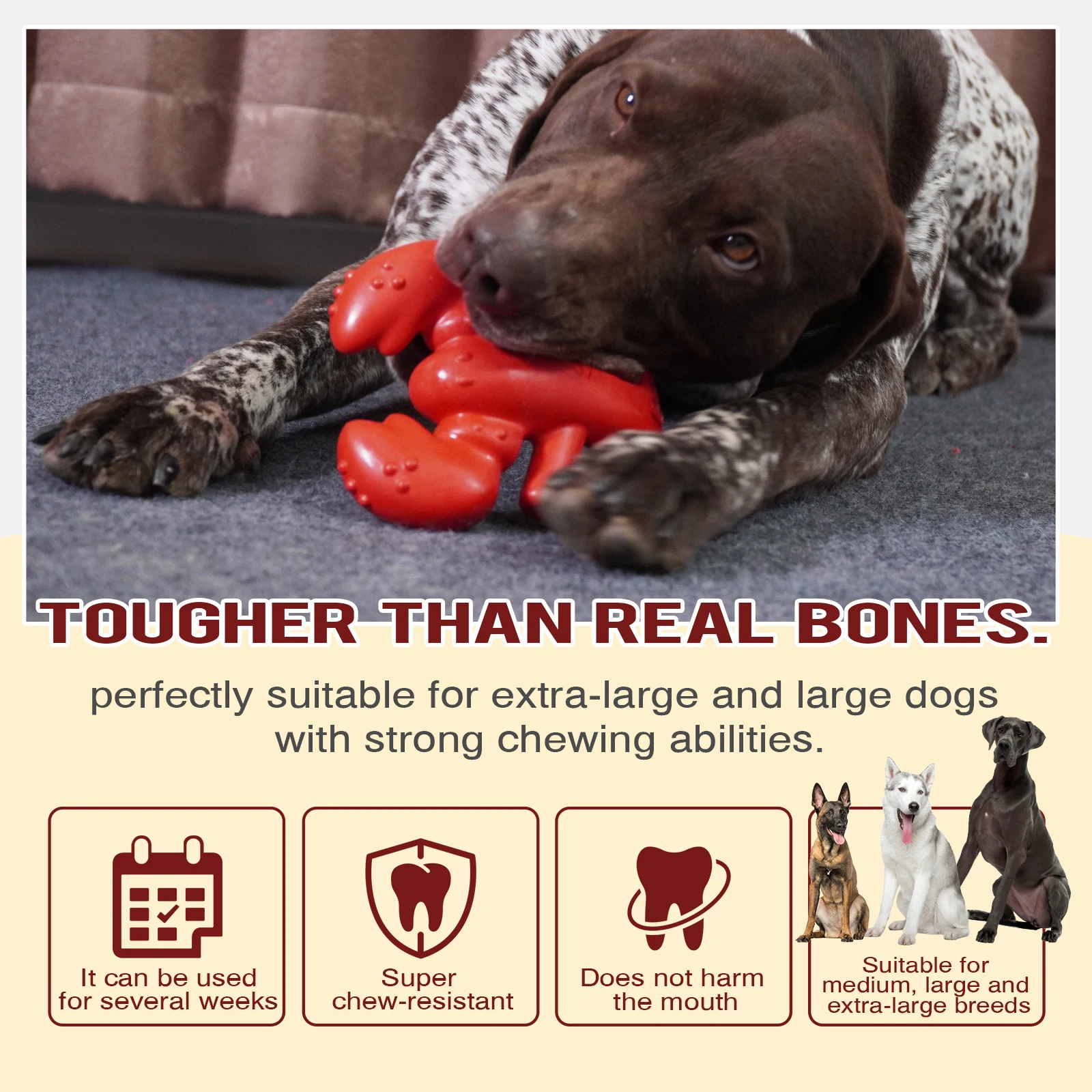 Factory Wholesale Direct Sale Super Bite Resistant Boston Lobster Shaped Set Teething and Chewing Toys