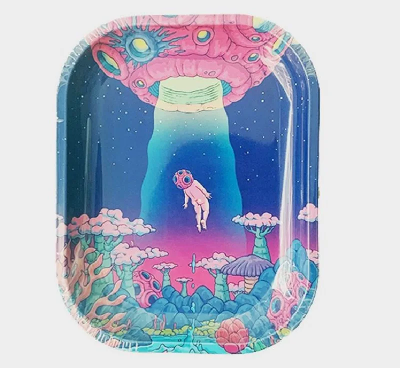 Customization Logo Cartoon Anime Personalized Smoking Trays Metal Rolling Trays with Lids