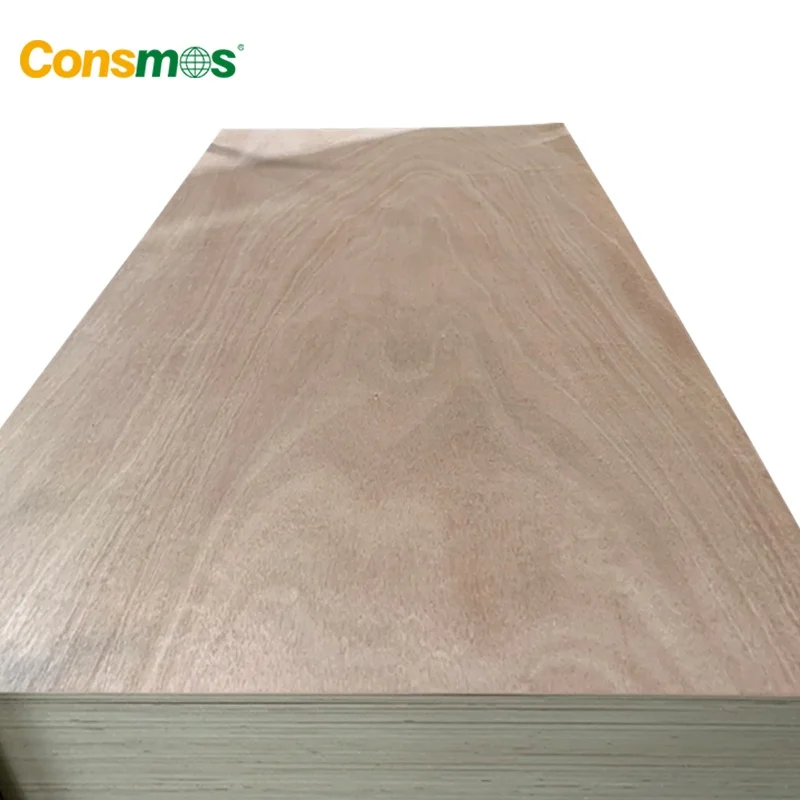 1220*2440mm 18mm 25mm Okoume Bintangor Poplar Birch Pine Hardwood Commercial Plywood