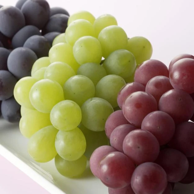 South Africa superior seedless big red and green grapes