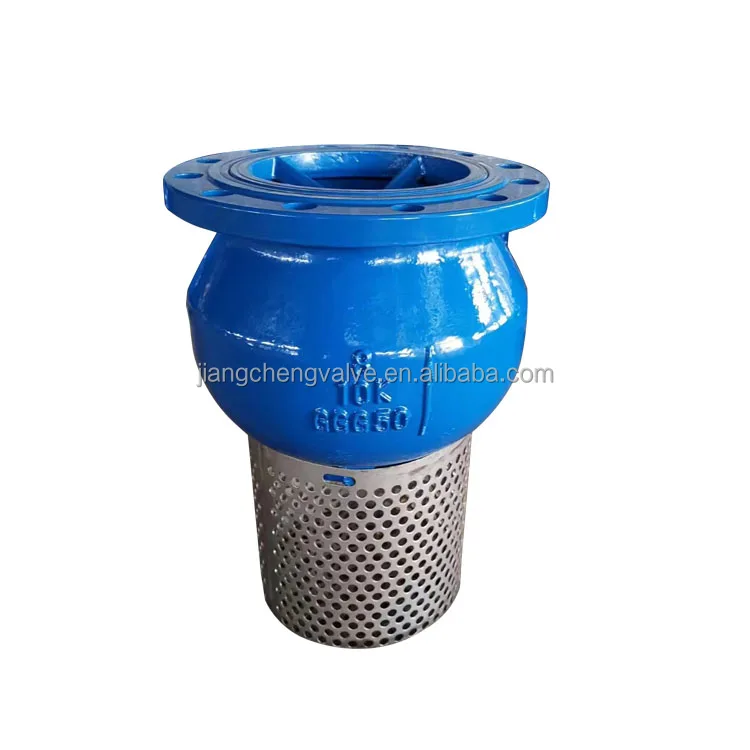 china dago pn 16 ss threaded water pump foot valve cast iron