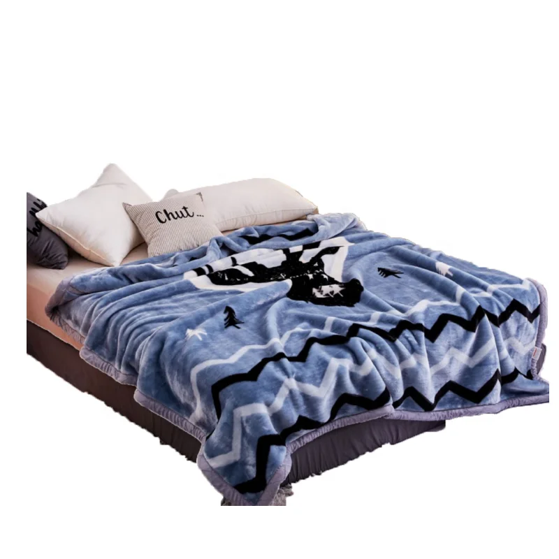2ply 2kg 3kg 4 kg Super Soft Heavy Winter Blanket King Size Luxury  Thick Korean Raschel Blanket