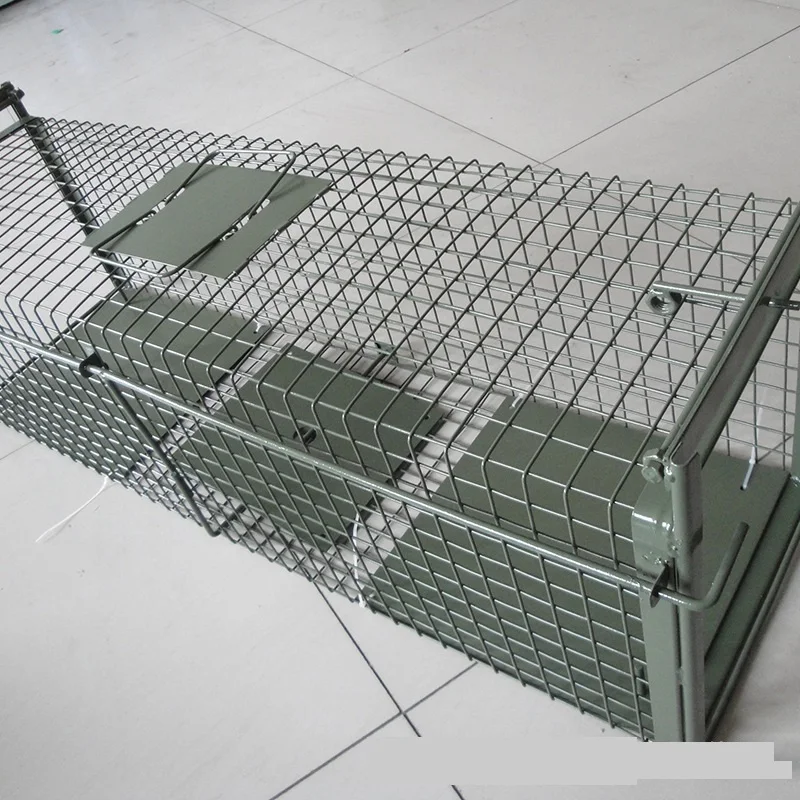 Pest Control Large Wild Animal Coyote Raccoon Live Trap