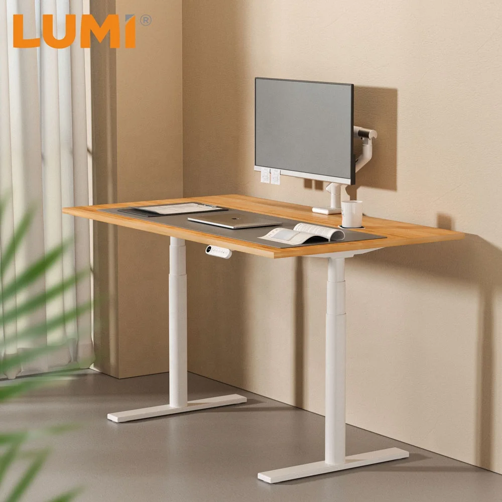 Home Office Smart Ergonomic Furniture Height Adjustable Round Column Dual Motor Standing up Desk Computer Table With Safety Lock