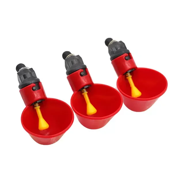 Automatic birds drinker chicken pigeon drinking bowl quail  water drinker with cup