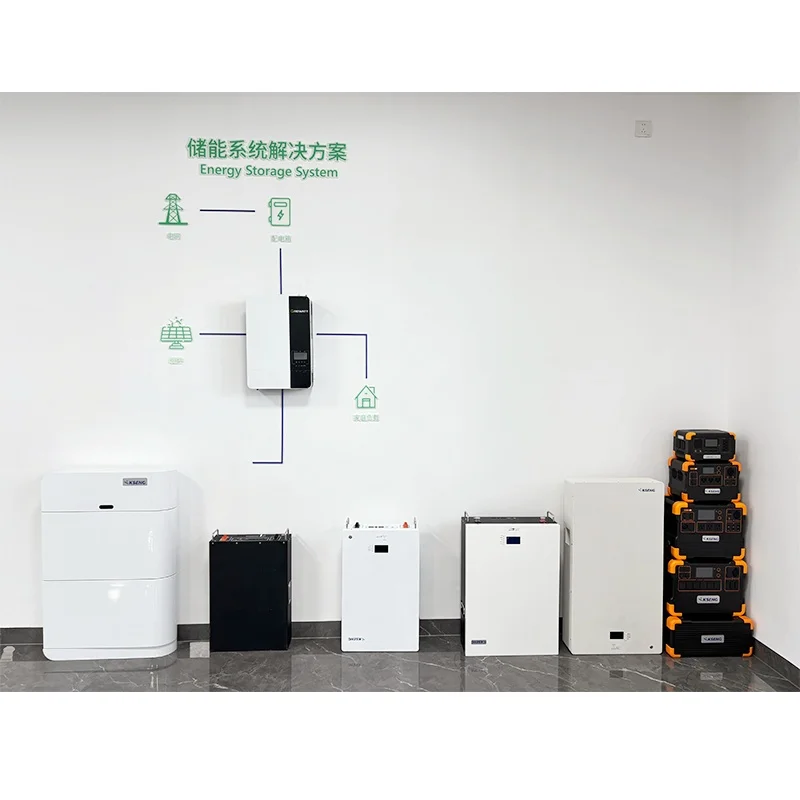 5kW  Lithium Ion solar battery Rackmount Solar Storage Battery 51.2V Household Energy Storage Lithium Battery