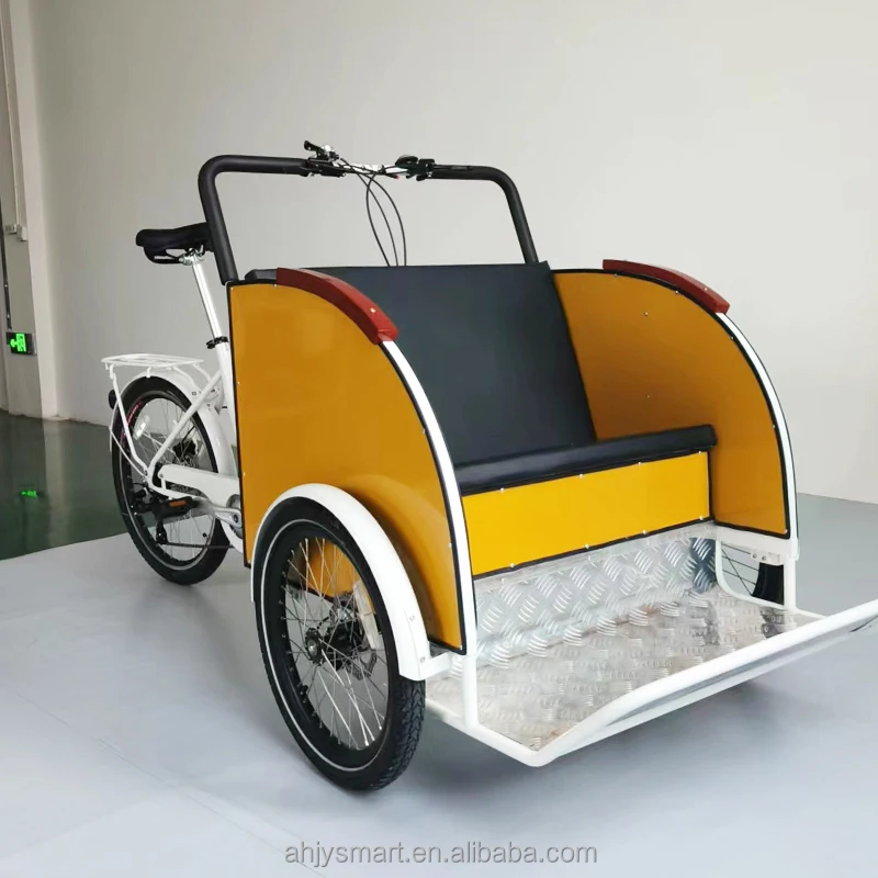 Tuktuk Electric Passenger Rickshaw Auto Taxi Passenger Electric Tricycles