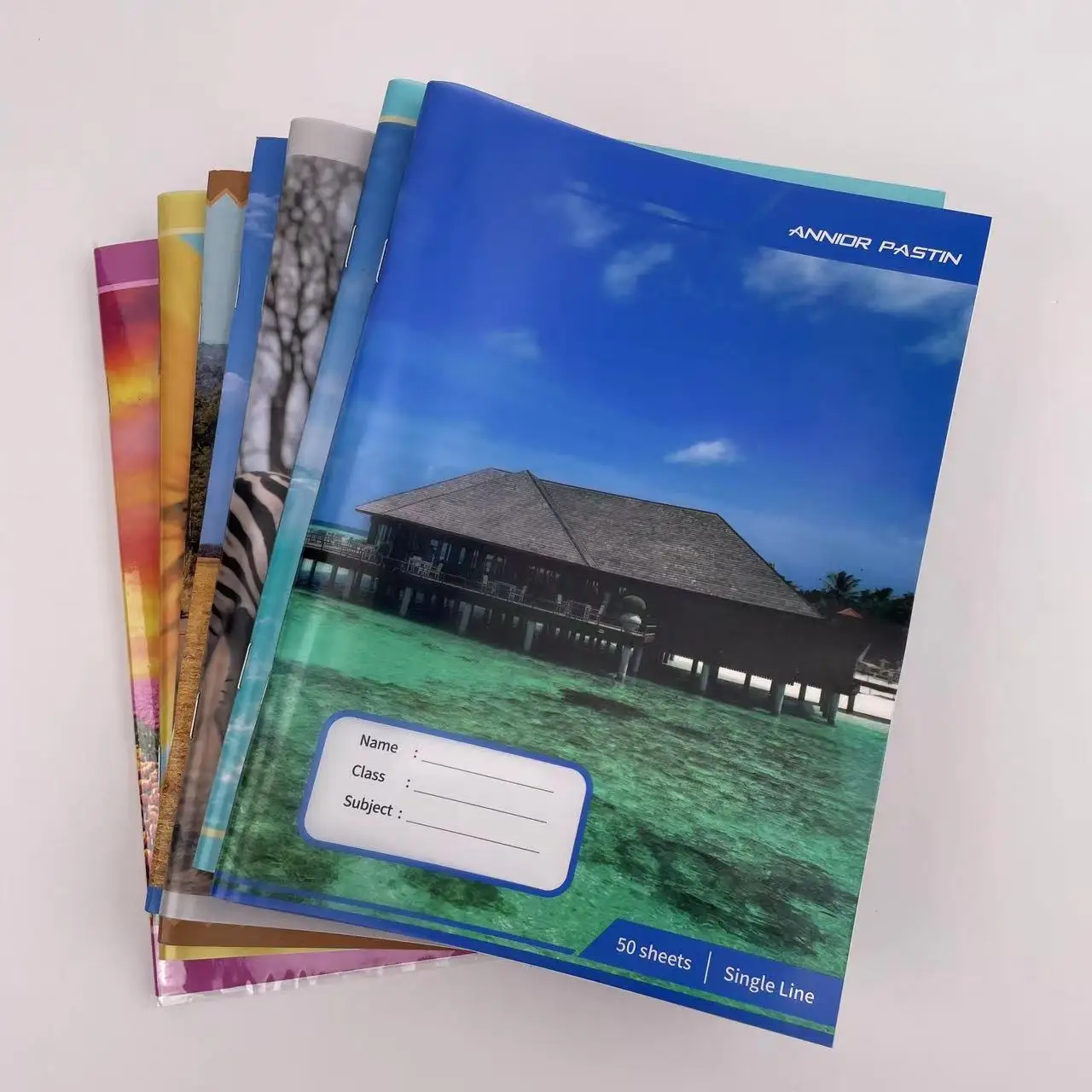 A5 A6 Pu Waterproof Soft Cover Notebooks Customizable 2024 Budget Diary Planner Printing Custom Exercise Book