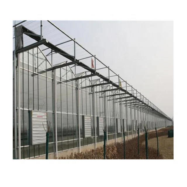 Multi-span Venlo Type Glass Greenhouse For Hydroponic Growing System