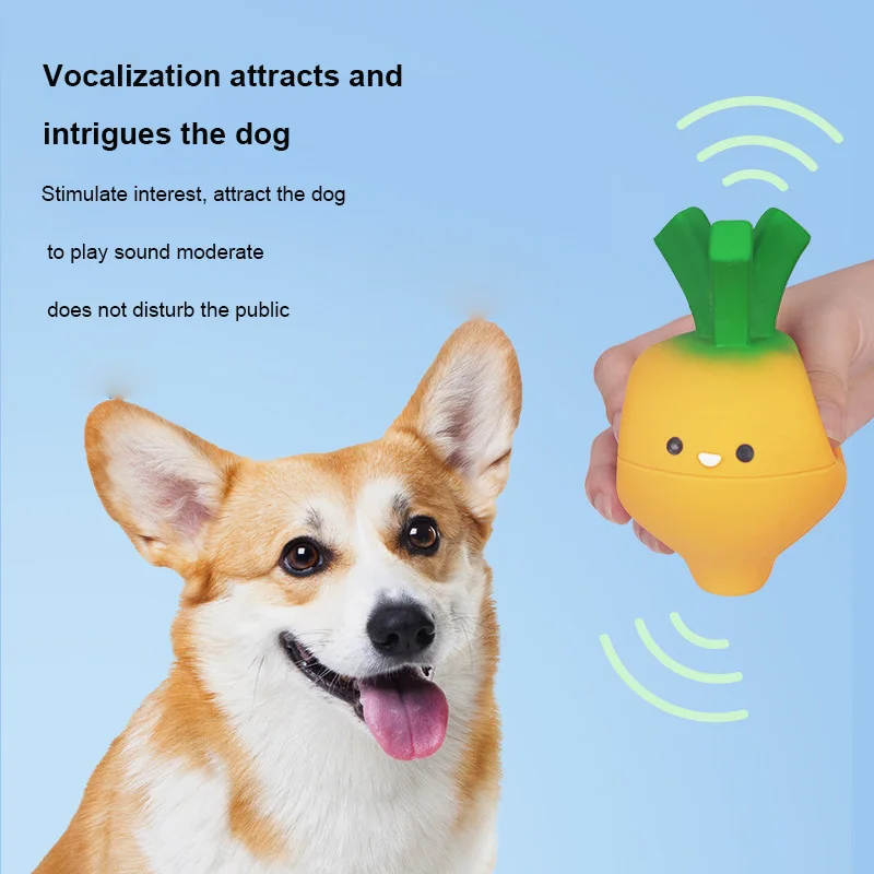 2024 Set Pet Toys to play with the dog best popular Interactive bite Pet Dog Chewing Toy Ball