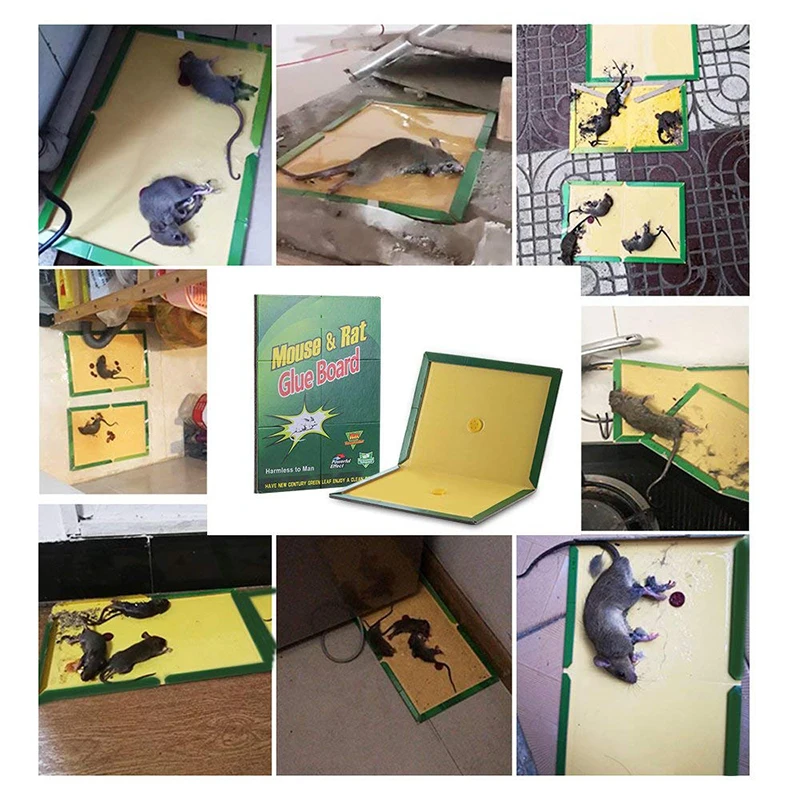 pest control rat glue trap board mouse glue board customize glue board ODM OEM